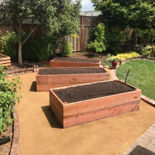 WhatsApp Image 2026-02-04 at 9.45.01 PM