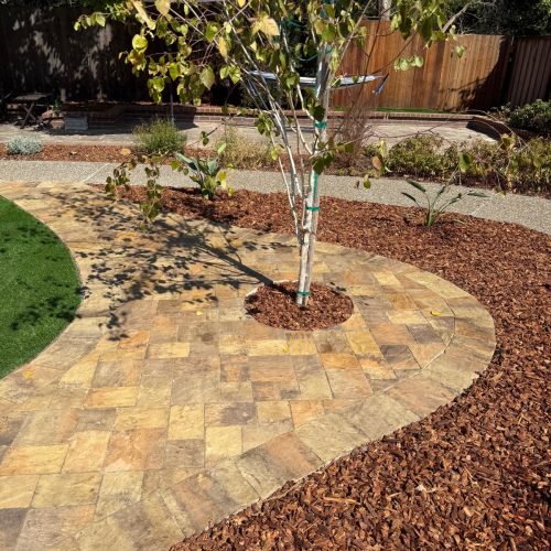 WhatsApp Image 2026-02-04 at 9.45.01 PM